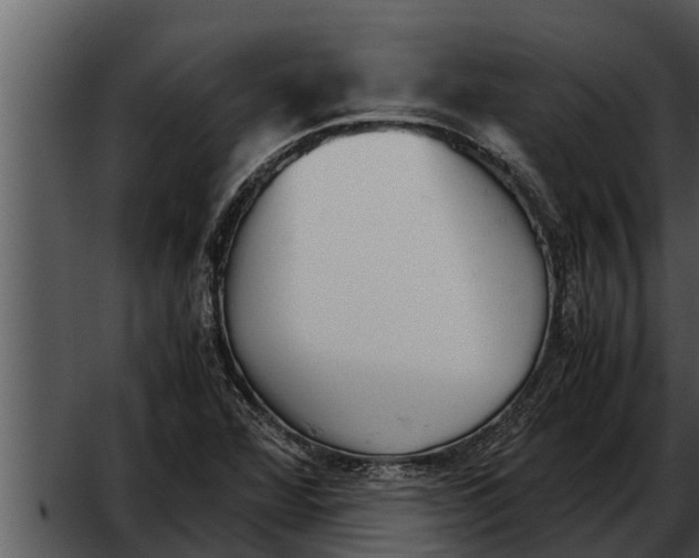 X0000052611360200507160026