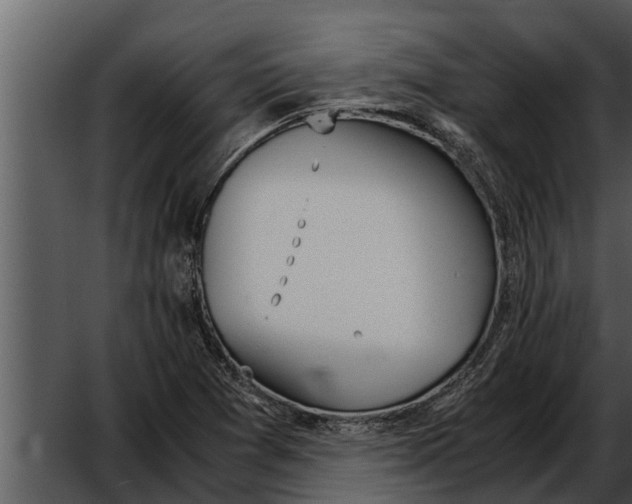 X0000052611361200507160026