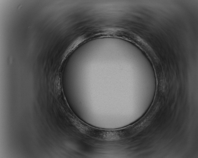 X0000052611362200507160026