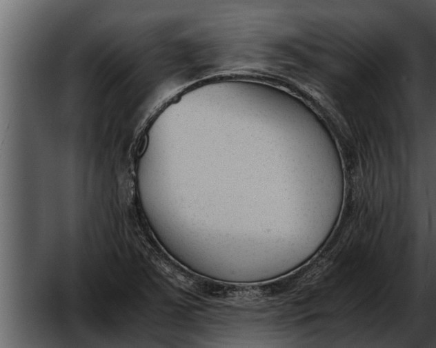 X0000052611363200507160026