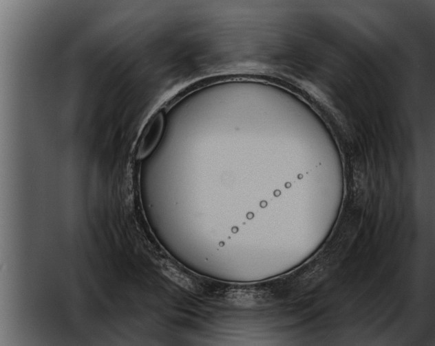 X0000052611364200507160026