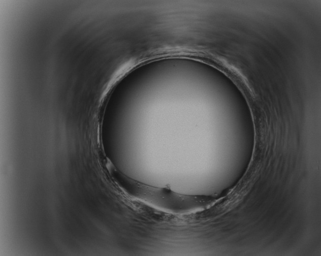 X0000052611365200507160026