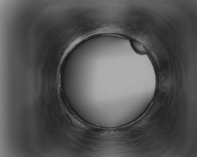 X0000052611366200507160026