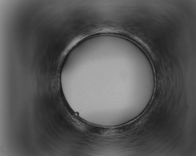 X0000052611367200507160026