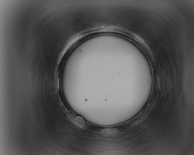 X0000052611368200507160026