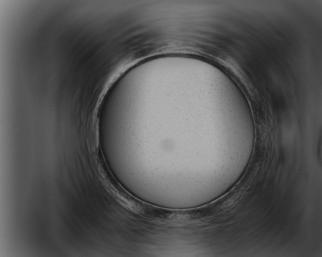 X0000052611371200507160026