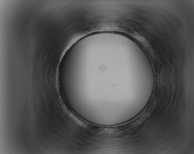 X0000052611374200507160026