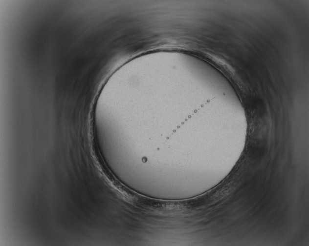 X0000052611375200507160026