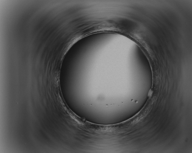 X0000052611377200507160026