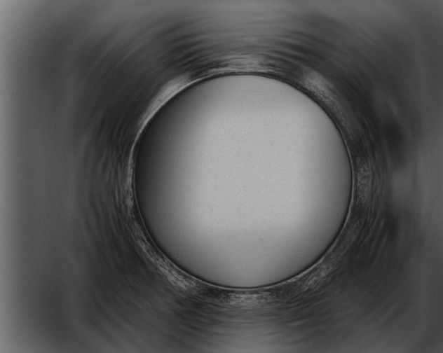 X0000052611378200507160026