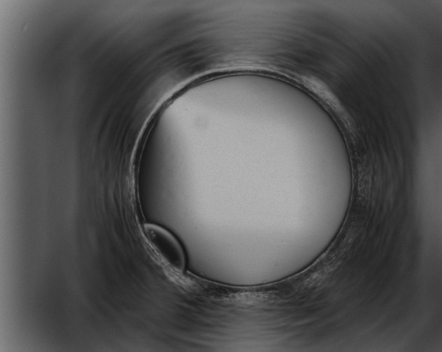 X0000052611380200507160026