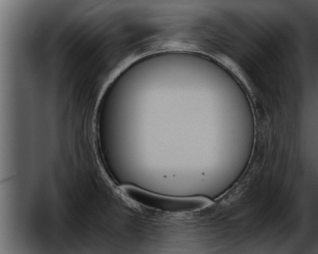 X0000052611381200507160026