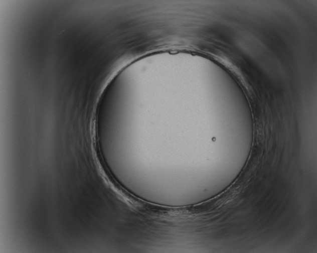 X0000052611383200507160026