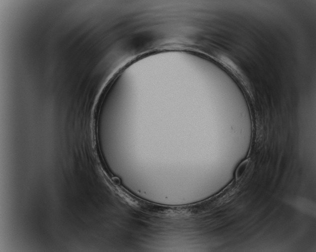 X0000052611384200507160026