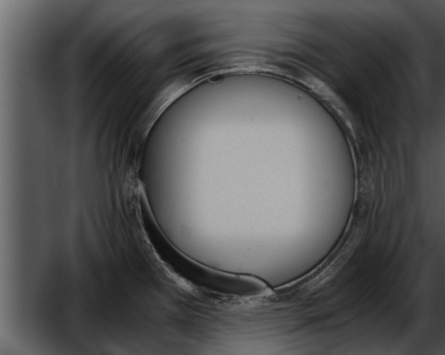 X0000052611385200507160026