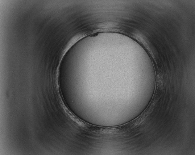 X0000052611386200507160026