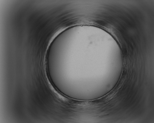 X0000052611387200507160026