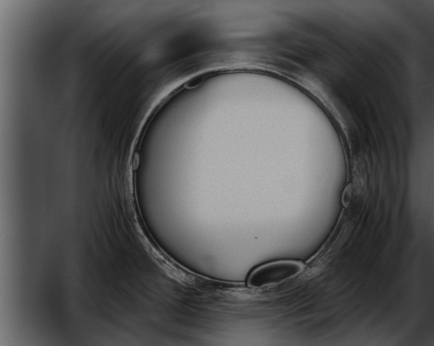 X0000052611388200507160026