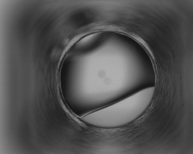 X0000052611389200507160026