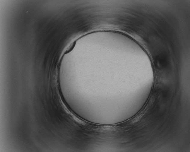 X0000052611390200507160026