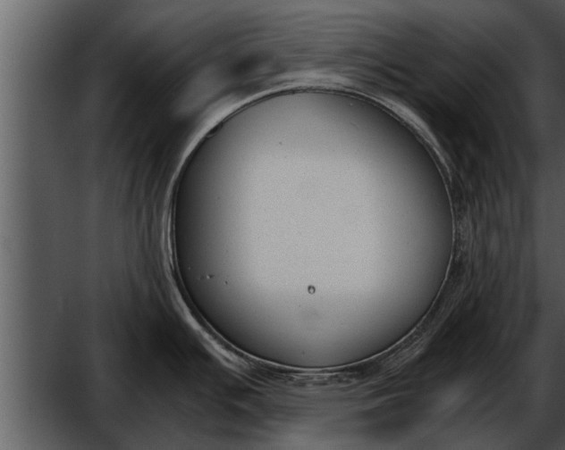 X0000052611391200507160026