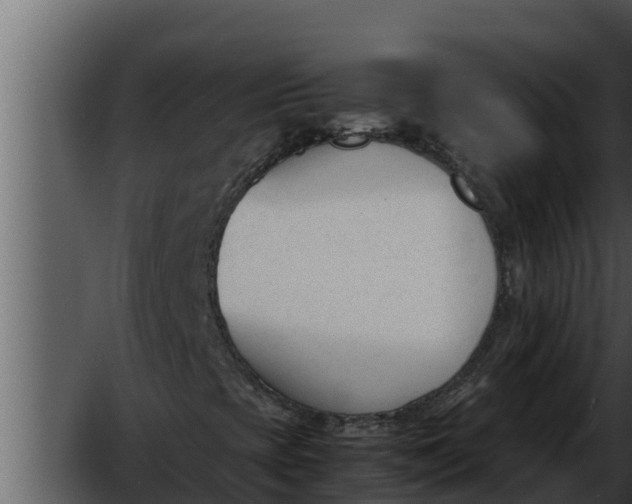 X0000052611393200507160025