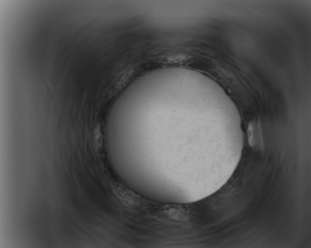 X0000052611395200507160025