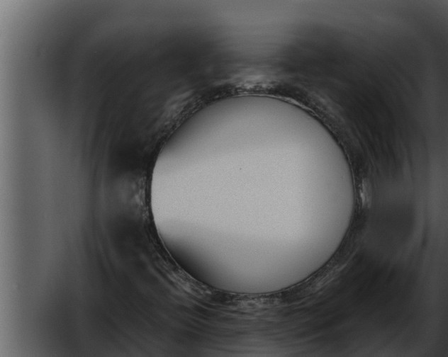 X0000052611396200507160025