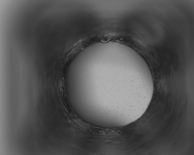 X0000052611397200507160025