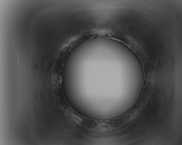 X0000052611398200507160025