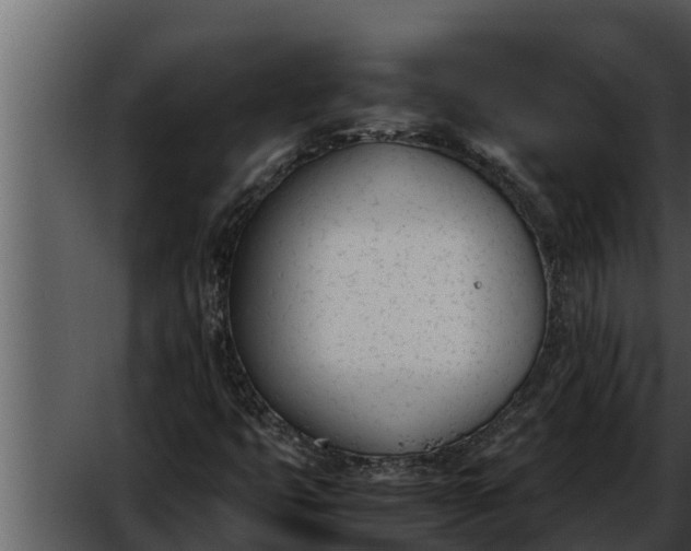 X0000052611399200507160025