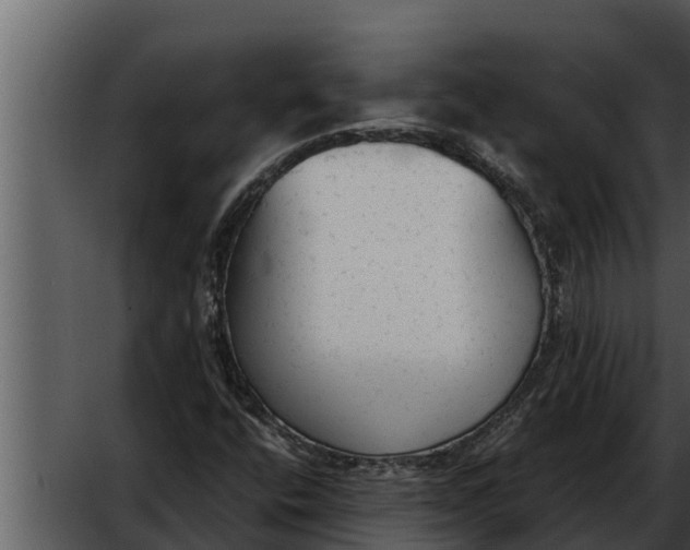 X0000052611400200507160025