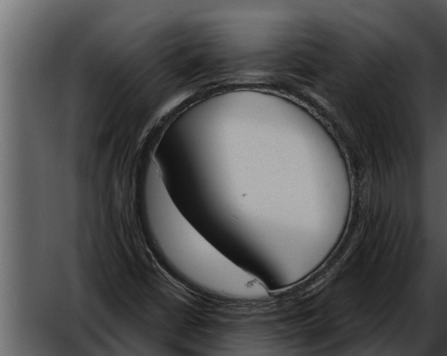 X0000052611402200507160025