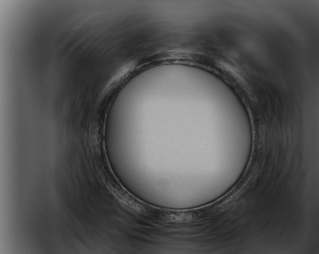 X0000052611403200507160025