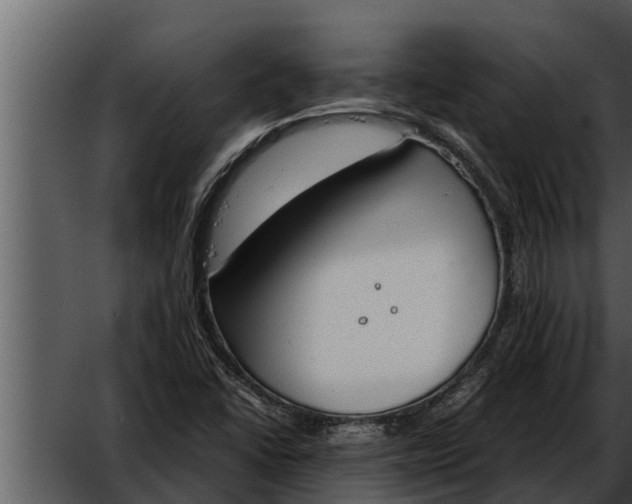 X0000052611406200507160025