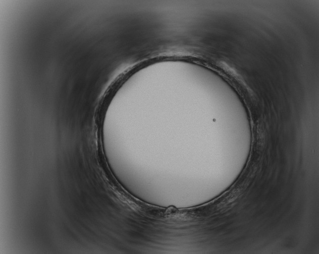 X0000052611408200507160025