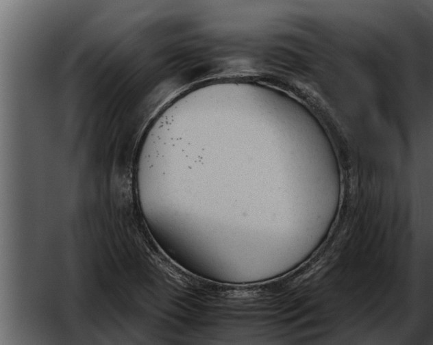 X0000052611409200507160025