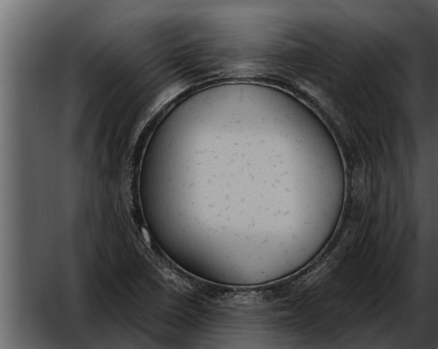 X0000052611410200507160025