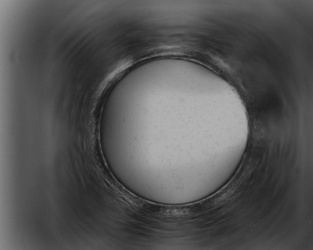 X0000052611411200507160025