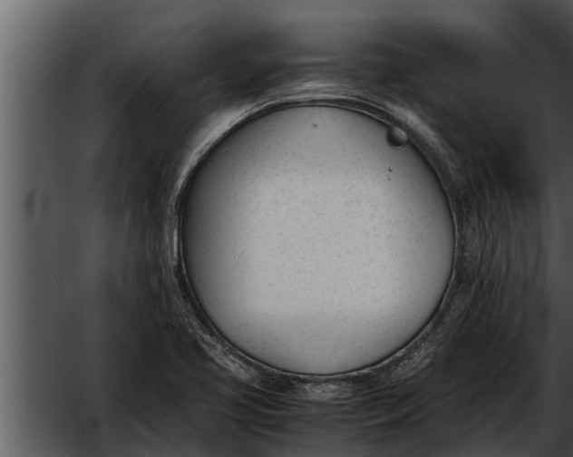 X0000052611413200507160025