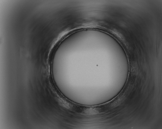 X0000052611414200507160025