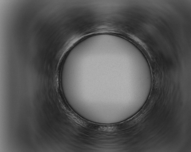 X0000052611415200507160025