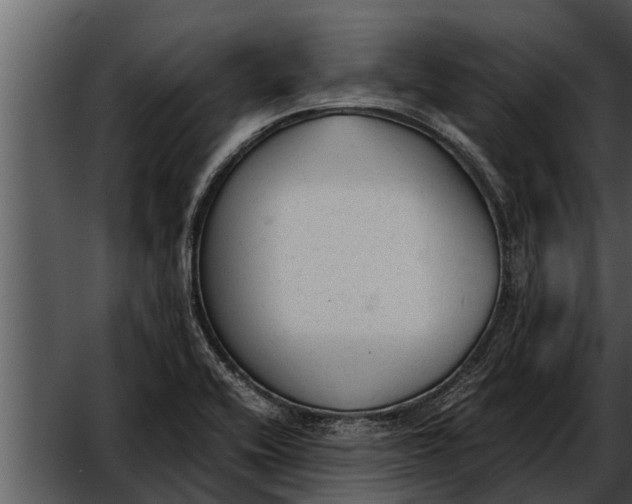 X0000052611416200507160025