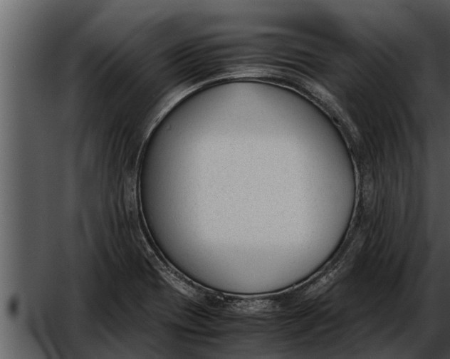 X0000052611417200507160025