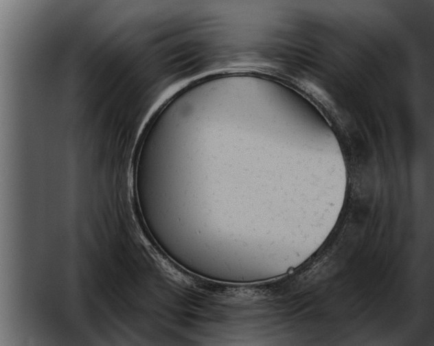 X0000052611420200507160025