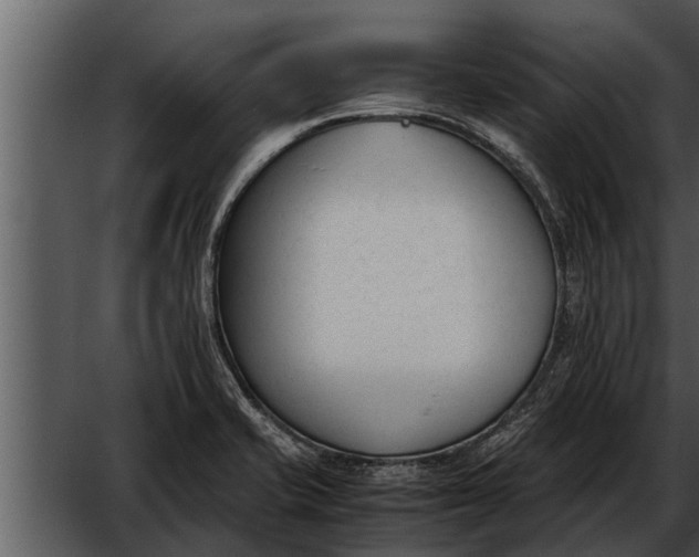 X0000052611421200507160025