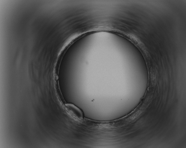 X0000052611422200507160025