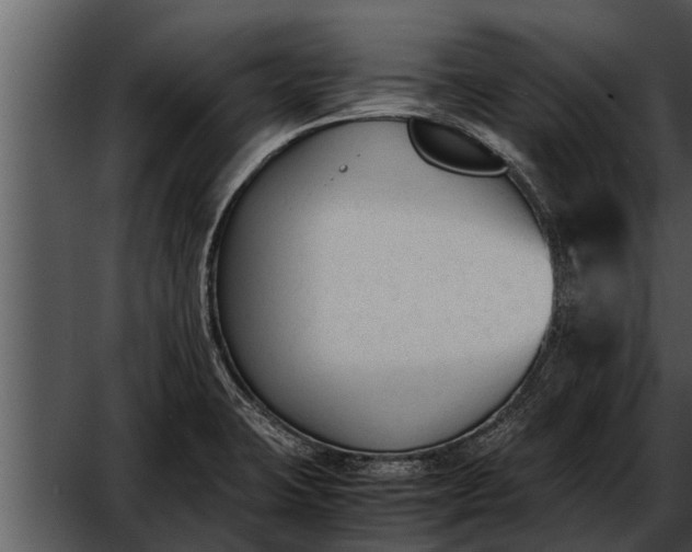 X0000052611423200507160025