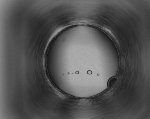 X0000052611424200507160025