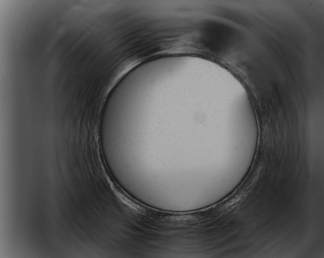 X0000052611425200507160025